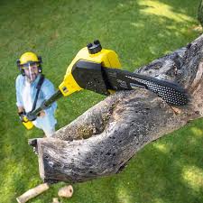 Best Arborist Consultation Services  in Ivey, GA